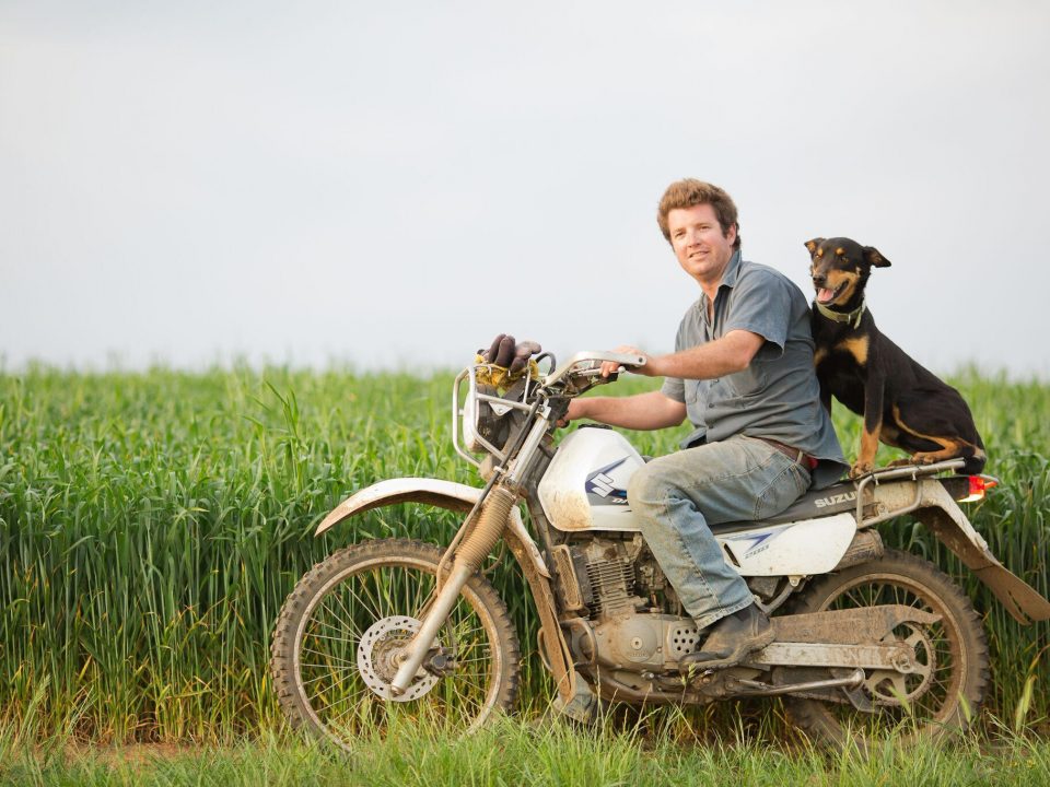 Mathew Stevens mates in grain