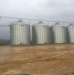 flat bottom grain silos 3