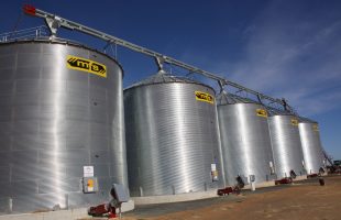 grain pump on 5 silos